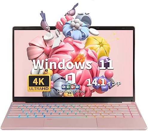 ESBOOK 2023 発売】 4K液晶IPS (3840 x 2160解像度) インテルCeleron